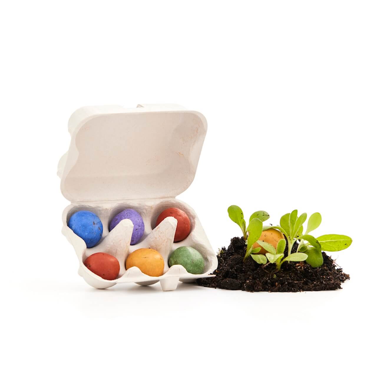 Freisteller-1-6er-Wachteleierschachtel Blumenmurmeln im Wachteleierkarton