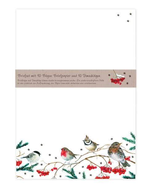 Briefset A4 Wintervögel