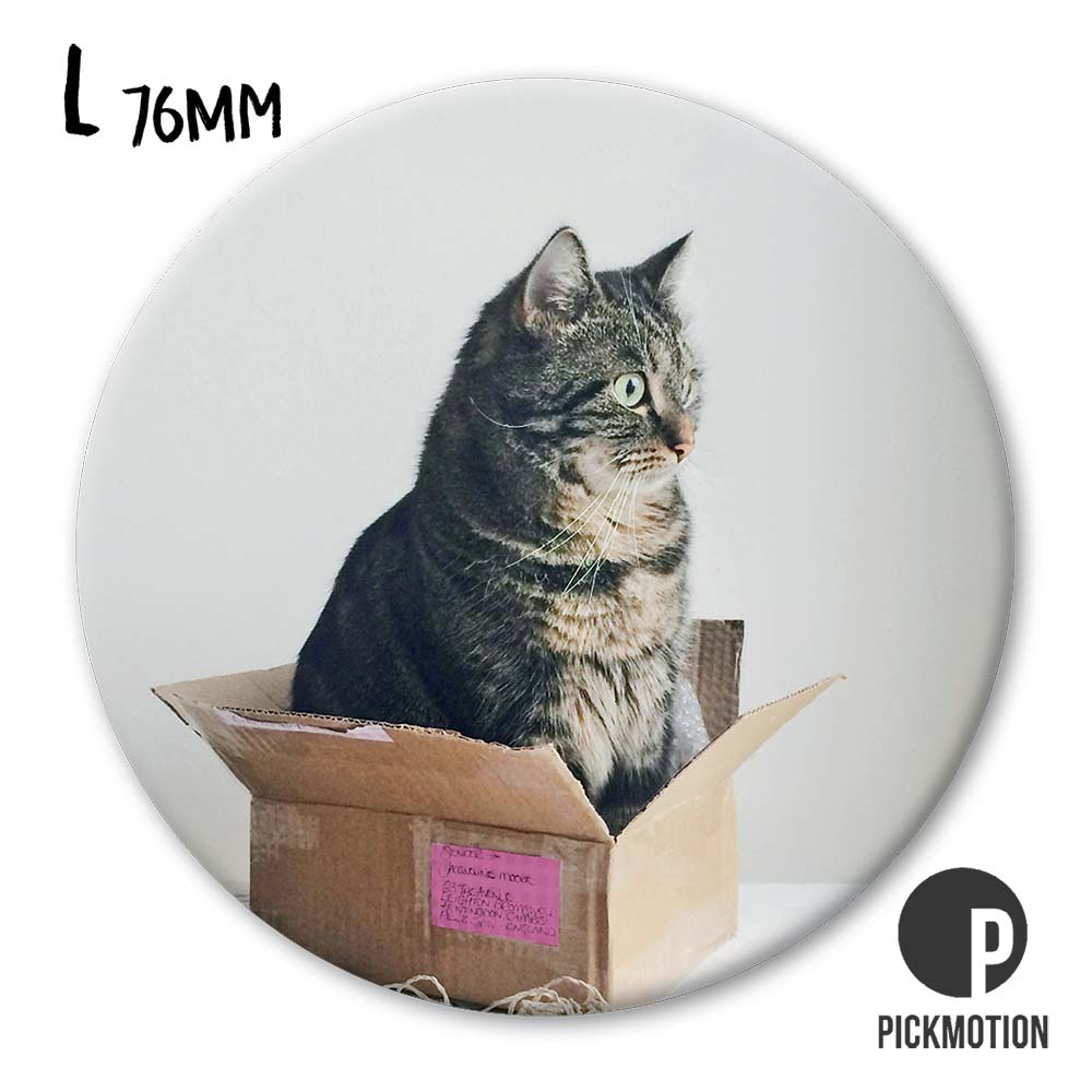 Magnet L surprise cat