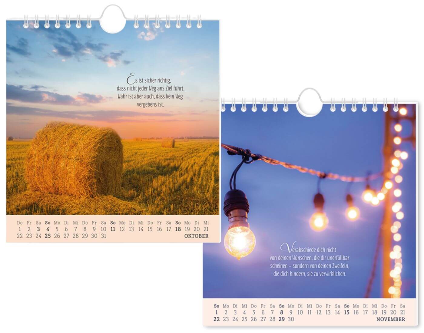 Postkartenkalender 2026 Lebenszeichen Postkartenkalender 2026 Lebenszeichen