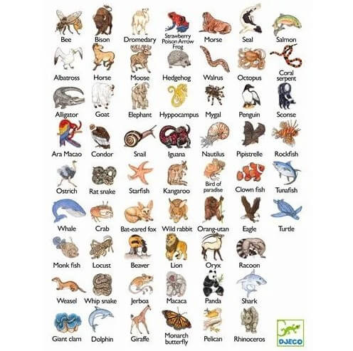 Kartenspiele - Zanimatch