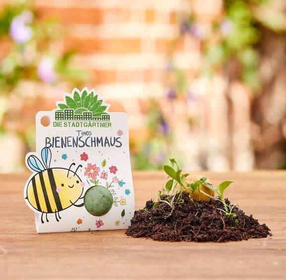 1er Blumenmurmel 'Timos Wilde Blumenmurmel'