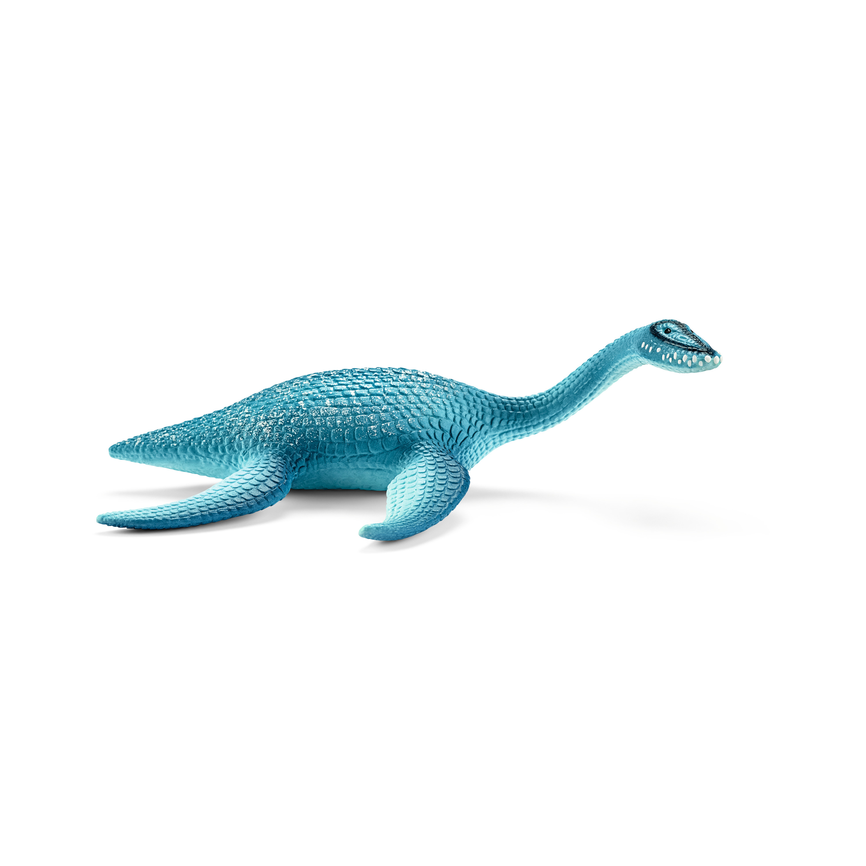 Plesiosaurus 15016
