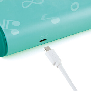 E0623-4-1 Leuchtende Lern-Harmonica