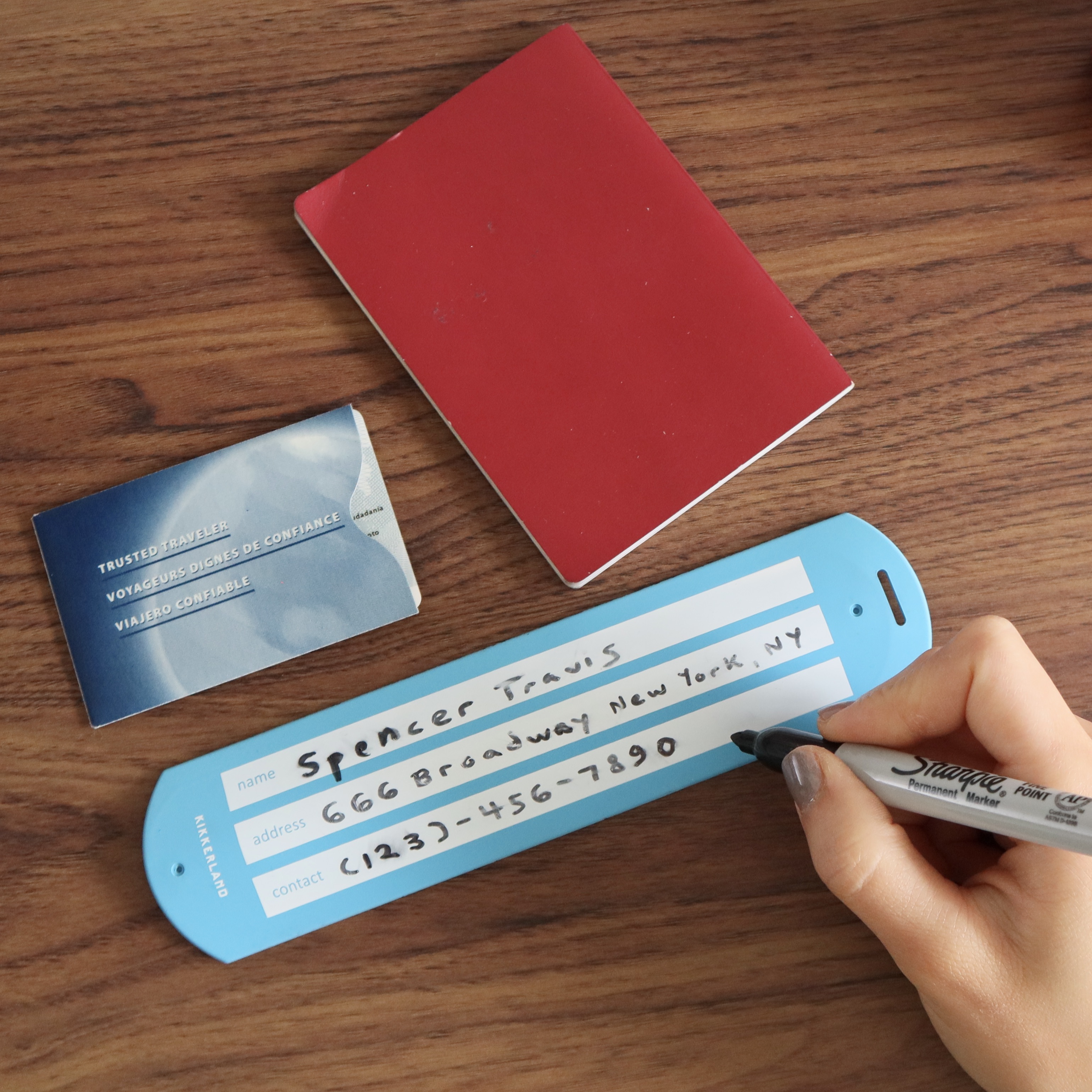 TT63-BL_Action1 Gepäckanhänger Slap blau