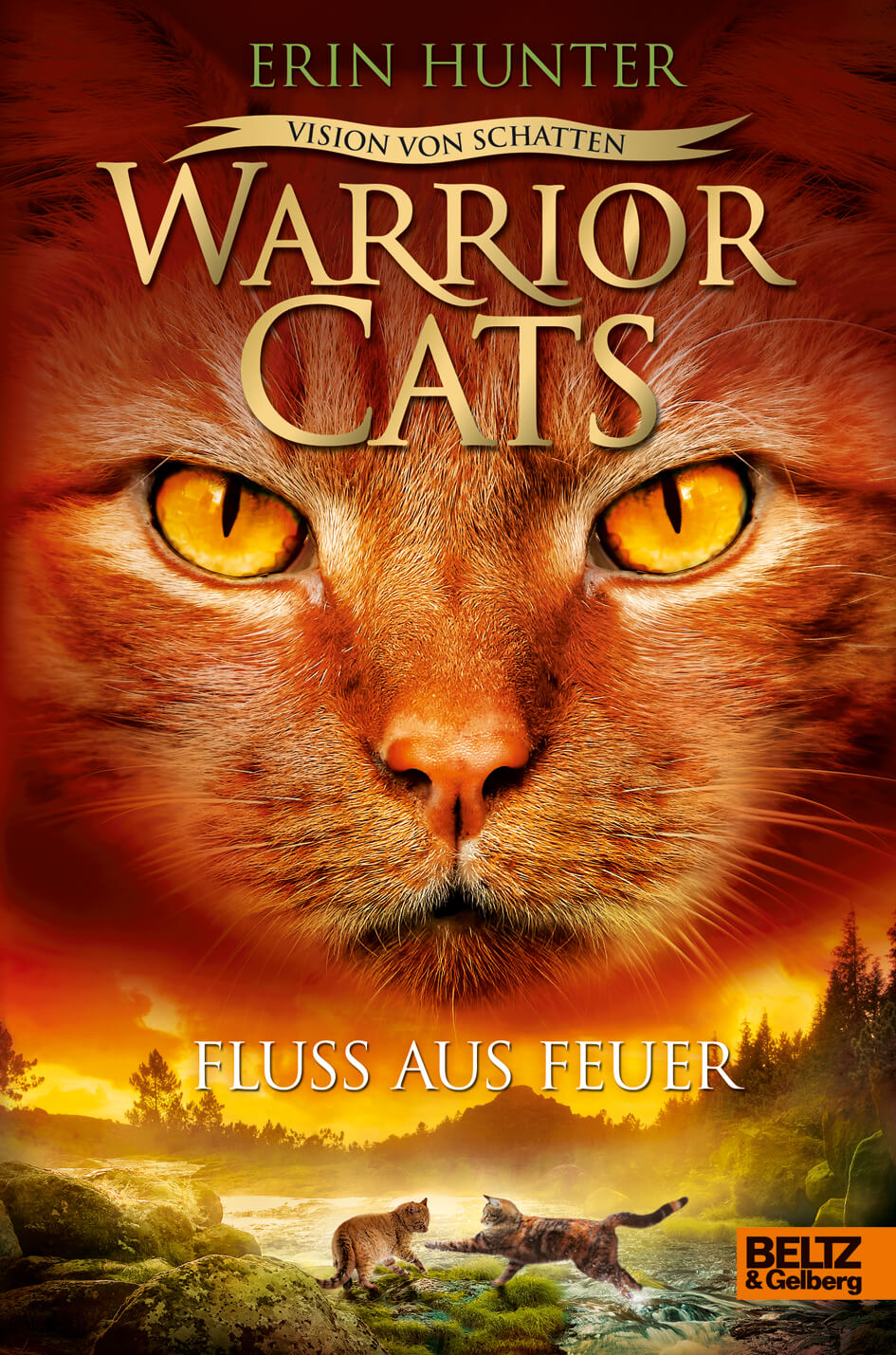 Erin Hunter: Warrior Cats 6/5 Vision von Schatten: Fluss aus Feuer