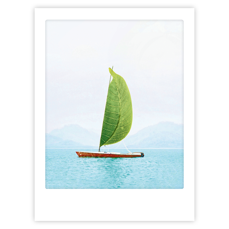 Art Poster Sail Away With Me