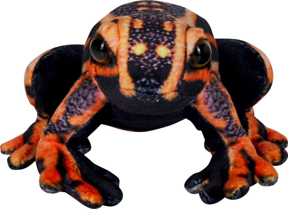 Pfeilgiftfrosch - Nature Zoom Wild