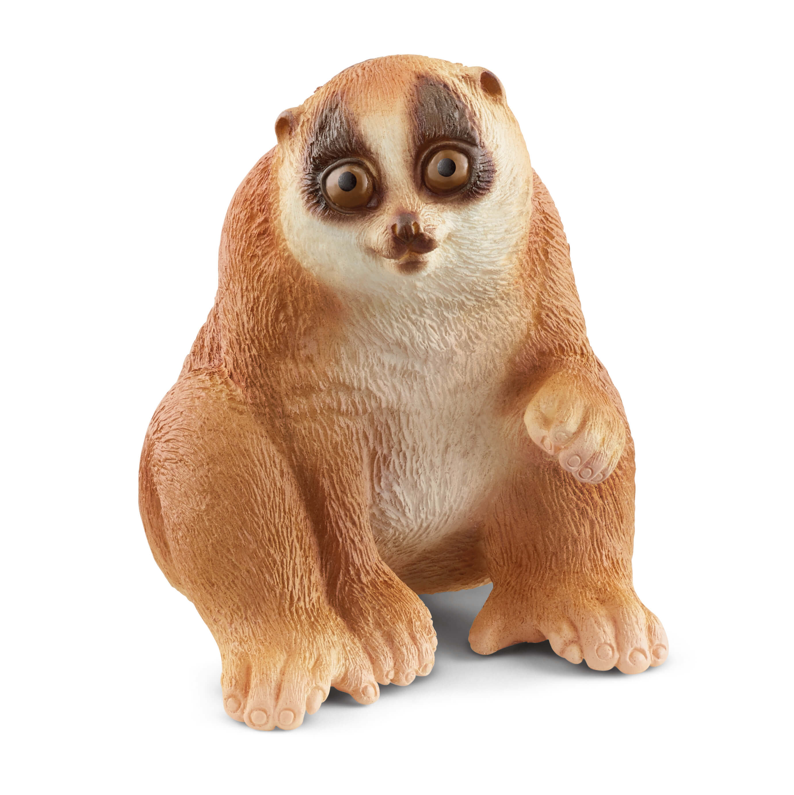 Schleich® WILD LIFE 14852 Plumplori