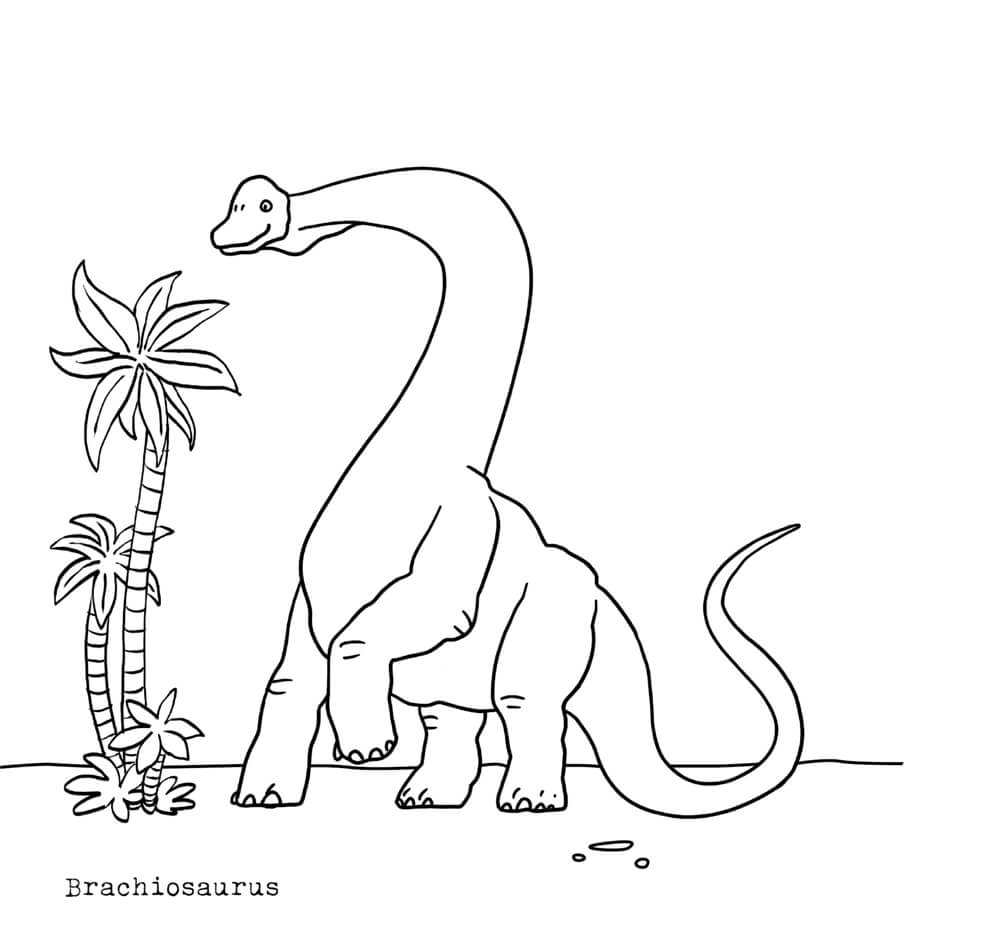 9783649647652_3 Dino-Malbuch - T-Rex World