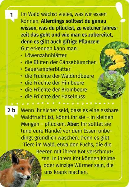 v8jcccC90JwVYppKq9__1671446587_7741196-1 Expedition Natur Mein Wald-Forscherquiz