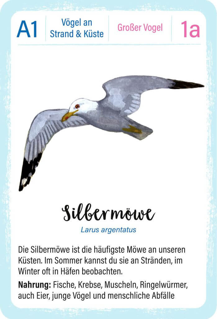 quartett-vogel-moses-2-1 Expedition Natur Quartett Vögel