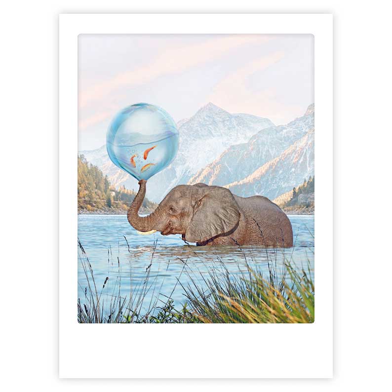 Art Poster Splish, Splash