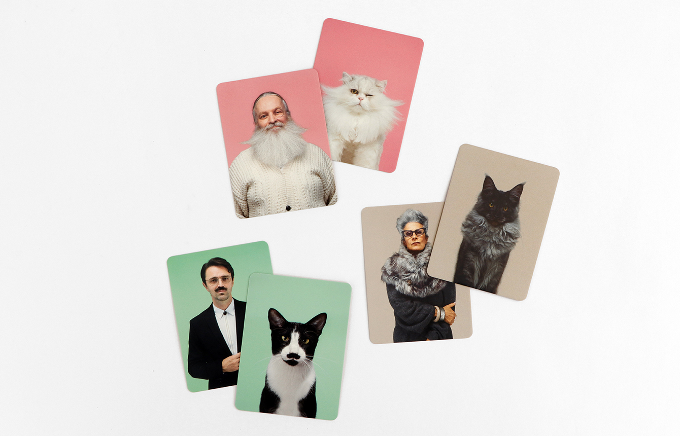 Siehst du aus wie deine Katze? Ein Memo-Spiel