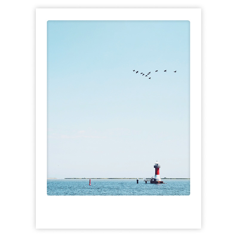 Art Poster Flying Home