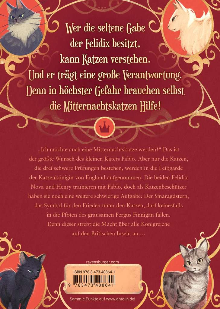 Mitternachtskatzen, Band 2: Die Hüter des Smaragdsterns