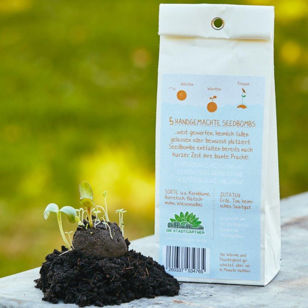 Seedbombs Hallo Sonnenschein