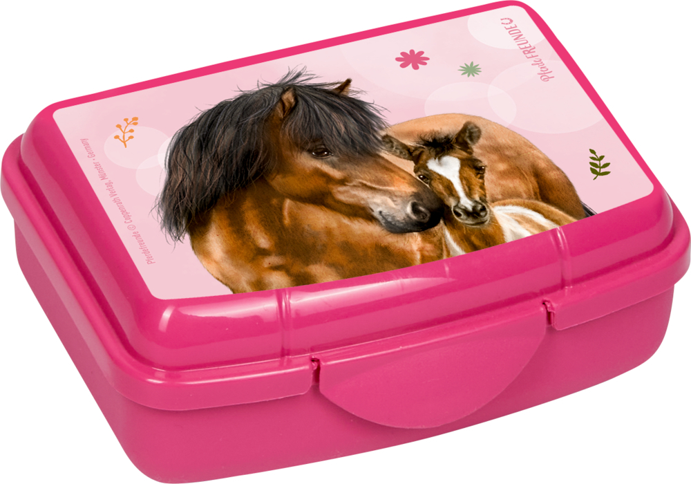 4029753181275_4 Mini-Snackbox - Pferdefreunde (einzeln)