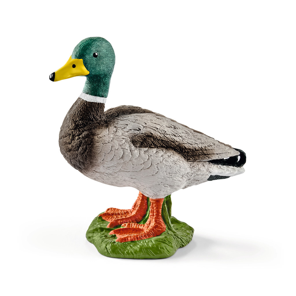 Schleich Farm World 13824 Erpel