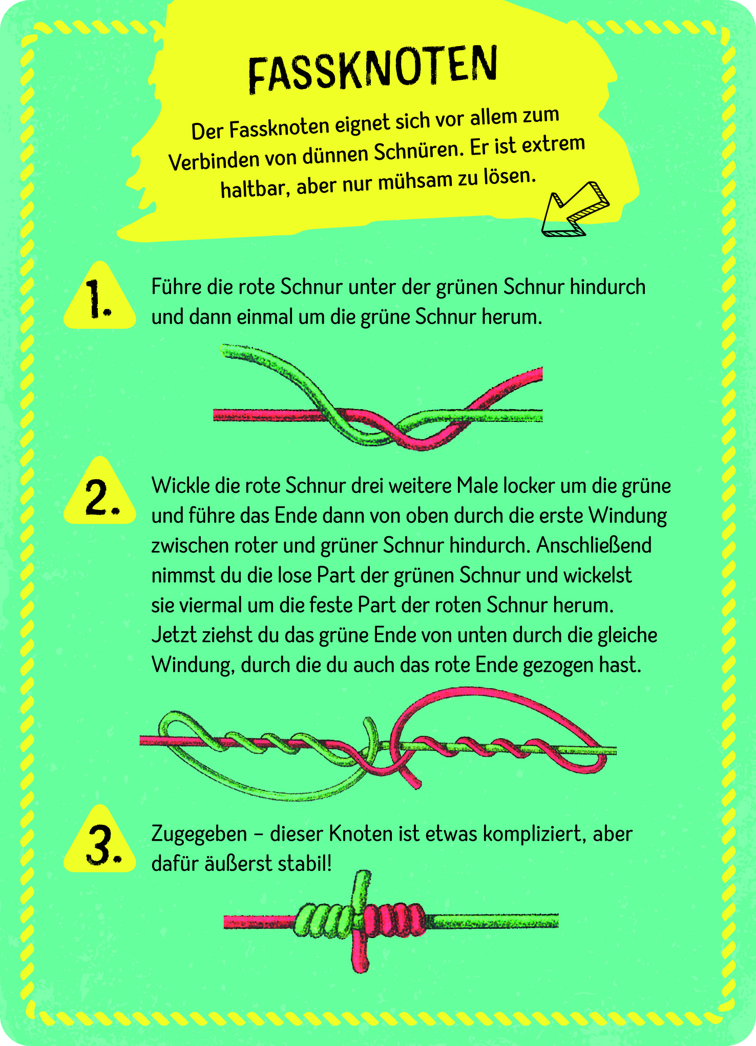 Expedition Natur - Die große Box der Knoten