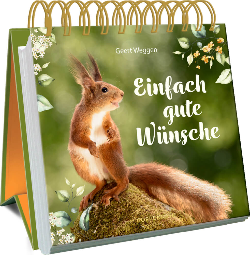 Großes Spiralaufstellbuch: Einfach gute Wünsche (Eichhörnchen) Großes Spiralaufstellbuch: Einfach gute Wünsche (Eichhörnchen)