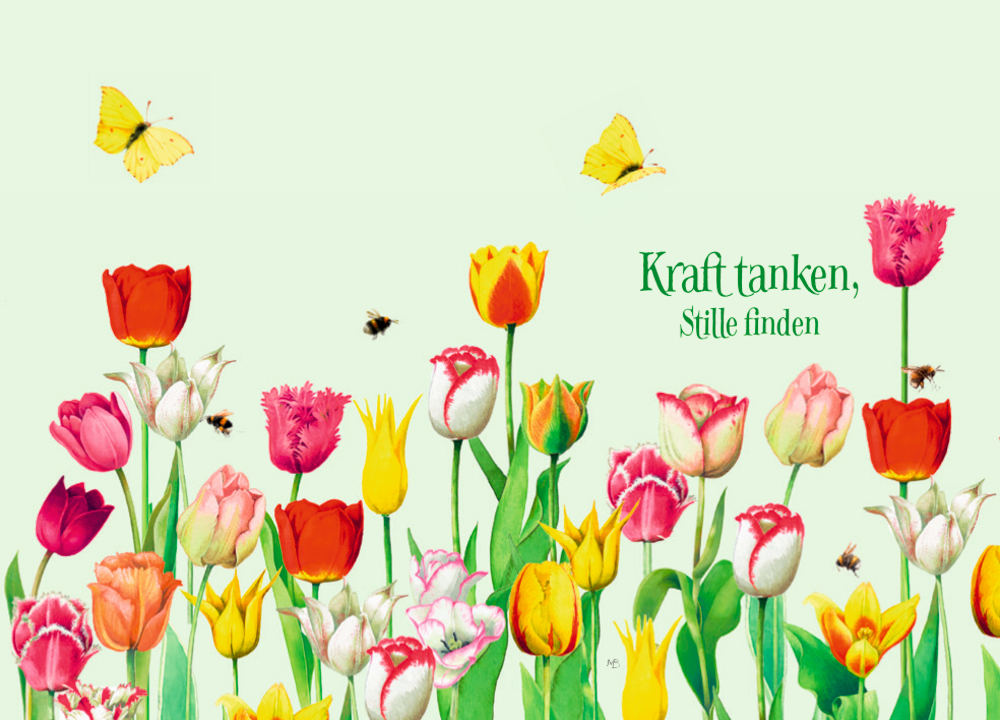 9783649641711_1 Edizione: Wo Blumen blühen, da lächelt die Welt (Bastin)