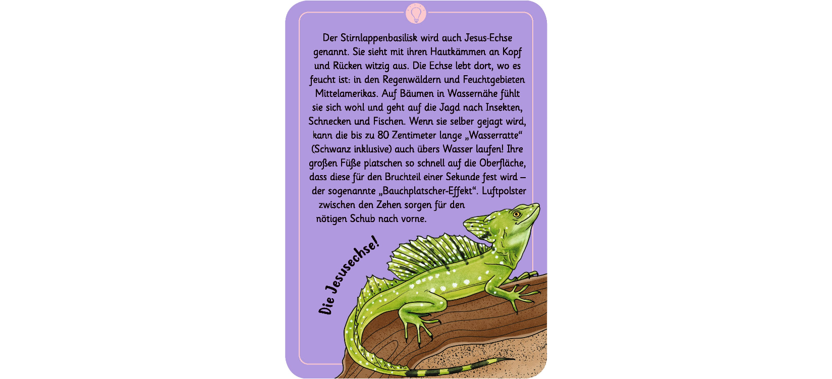 Expedition Natur - 50 wundersame Tierrätsel: Tricks und Tarnung