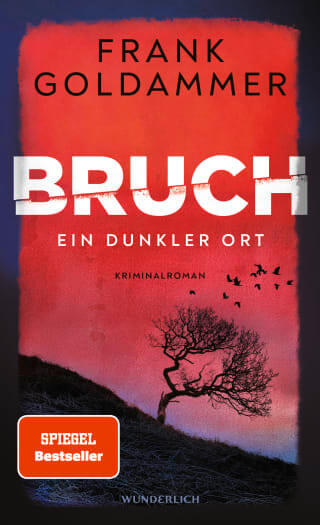 Frank Goldammer: Bruch