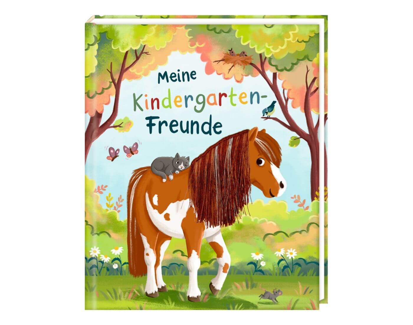 Freundebuch mit Ponymähne: Meine Kindergarten-Freunde