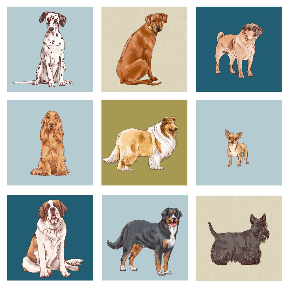 Memo - I love dogs (cats & dogs)
