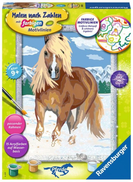 Haflinger im Schnee