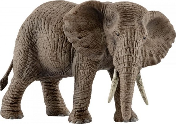 Schleich Wild Life 14761 Afrikanische Elefantenkuh