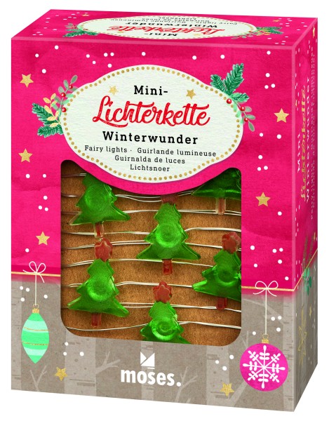 Mini Lichterkette Winterwunder