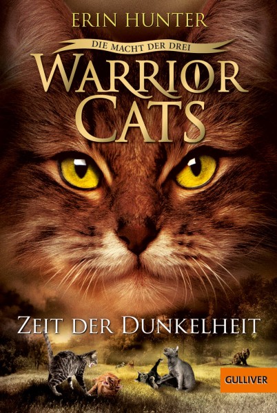 Erin Hunter: Warrior Cats 3/4 Die Macht der drei: Zeit der Dunkelheit