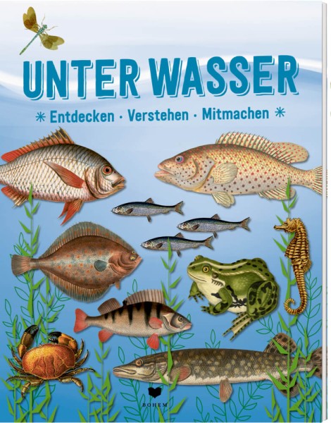 UNTER WASSER - Entdecken-Verstehen-Mitmachen