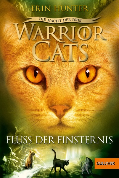 Erin Hunter: Warrior Cats 3/2 Die Macht der drei: Fluss der Finsternis