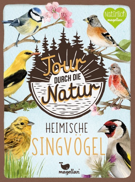 Maria Over, Miriam Fritz: Tour durch die Natur - Heimische Singvögel - Bestimmungskarten-Set mit 50