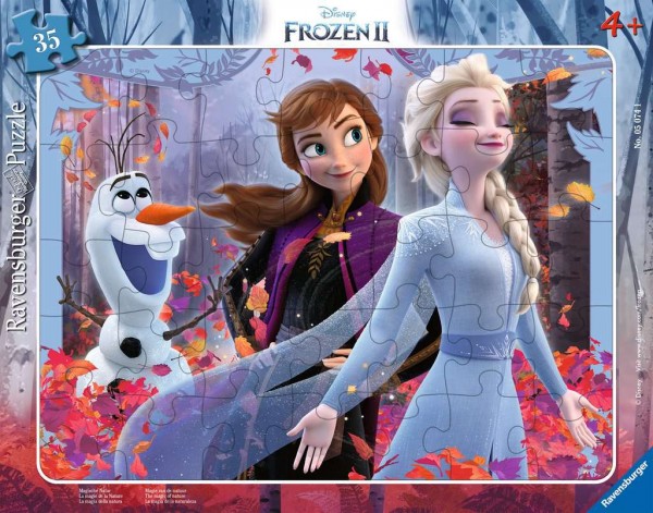 Disney Frozen 2 Magische Natur (35 Teile)