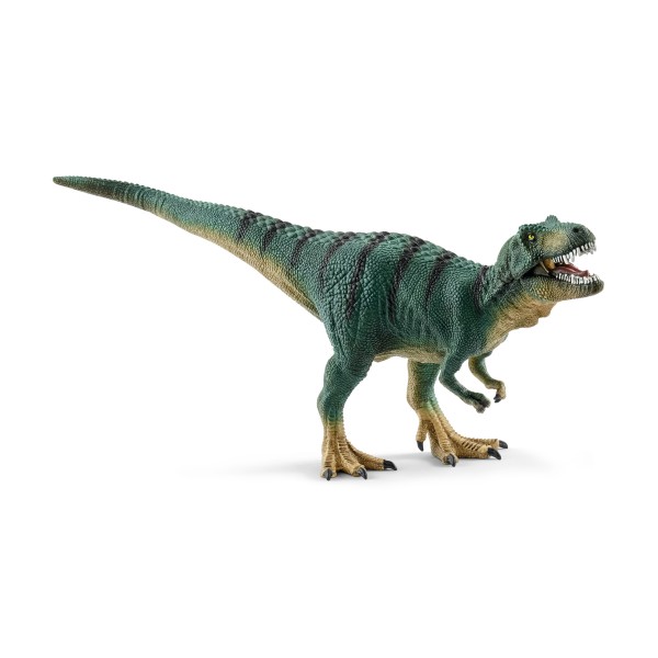 Jungtier Tyrannosaurus Rex 15007