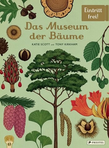 Tony Kirkham, Katie Scott: Das Museum der Bäume - Eintritt frei! (Band 15)