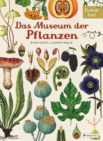 Katie Scott, Kathy Wilis: Das Museum der Pflanzen - Eintritt frei! (Band 6)