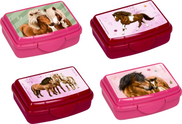 Mini-Snackbox - Pferdefreunde (einzeln)