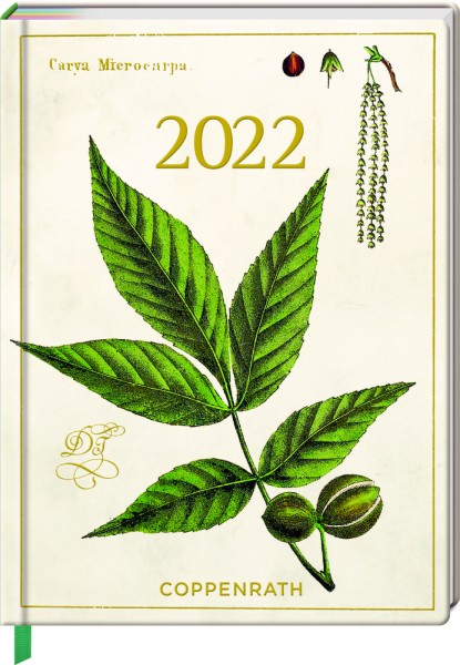 Jahreskalender: Mein Jahr 2022 - Hickory (Augustina)