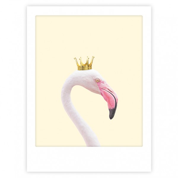 Art Poster Royal Flamingo