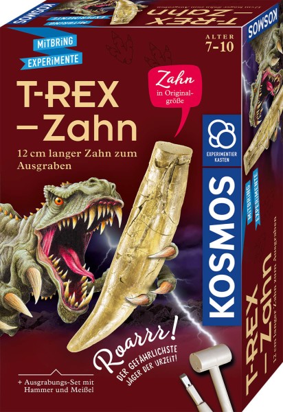 T-Rex - Zahn, 12 cm langer Zahn zum Ausgraben