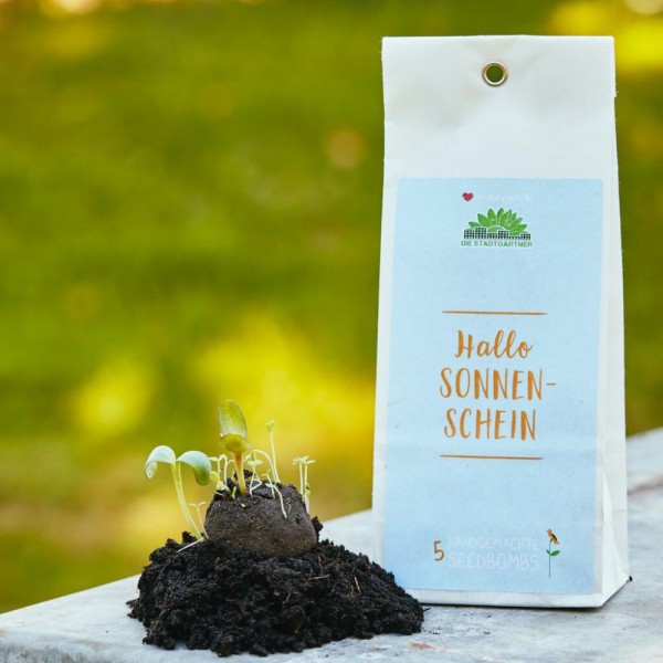 Seedbombs Hallo Sonnenschein