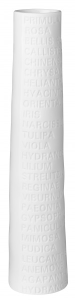 SCHMALE VASE, GROSS "TEXT"