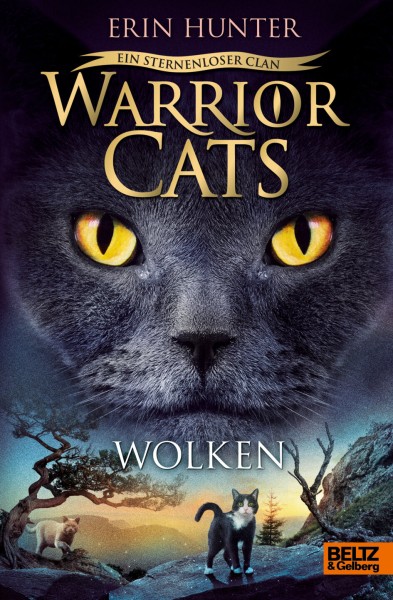 Erin Hunter: Warrior Cats 8/2 Ein sternenloser Clan: Wolken