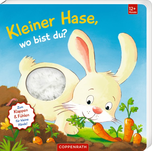 Mein 1. Guckloch-Fühlbuch: Kl. Hase, wo bist du? (Fühlen&begreifen)