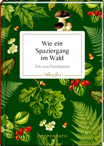 Schöner lesen! No. 18: Wie ein Spaziergang im Wald